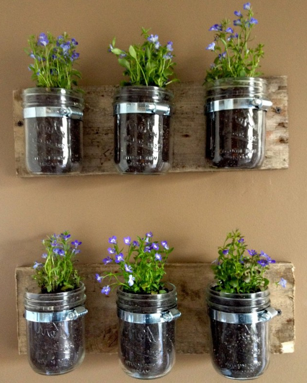 15 Simple But Creative Diy Ideas To Grow Plants And