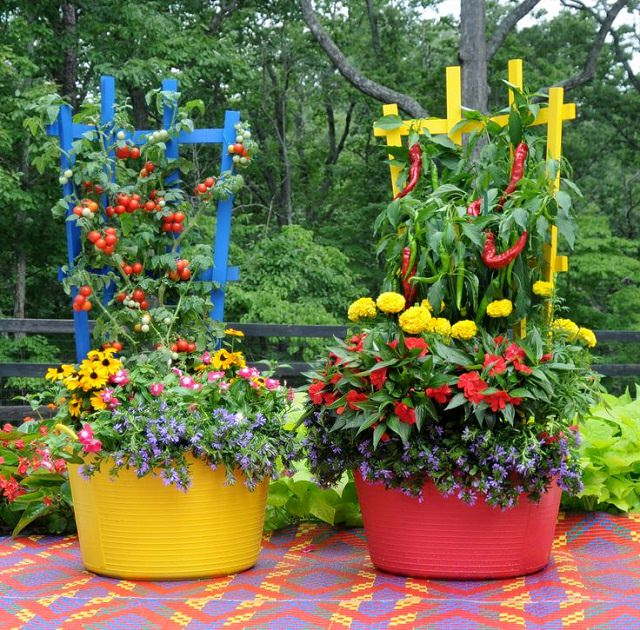15 Stunning Container Vegetable Garden Design Ideas Tips