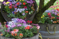 15 Unusual Flower Beds And Container Ideas For Beautiful