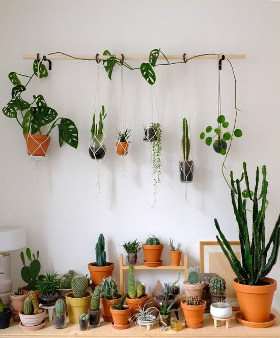 16 Diy Indoor Plant Wall Projects Anyone Can Do Living