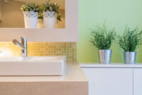 18 Ideal Indoor Plants For Your Bathroom
