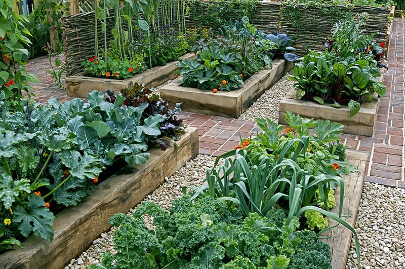 19 Awesome Gardening Ideas For Beginners Leafpanda