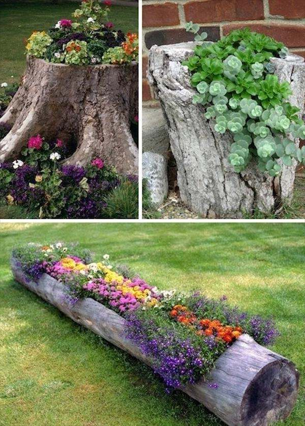 20 Beautiful Flower Bed Ideas For Your Garden Budget