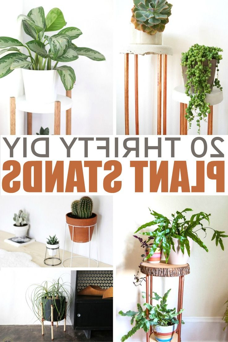 20 Thrifty Diy Plant Stands Diy Plant Stand House