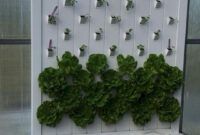 22 Awesome Indoor Hydroponic Wall Garden Design Ideas