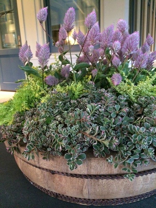 23 Amazing Container Gardening Arrangements For Lazy