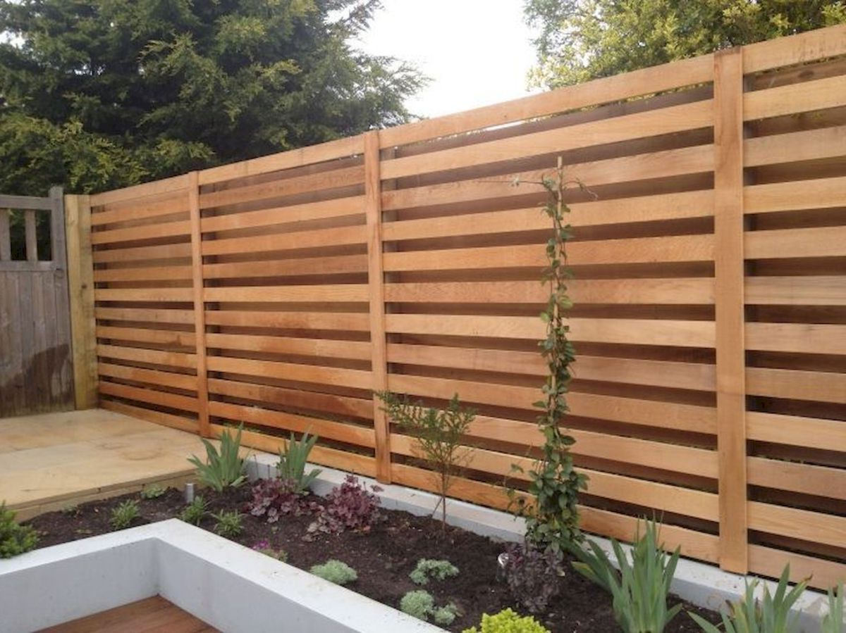 23 Easy Cheap Backyard Privacy Fence Design Ideas
