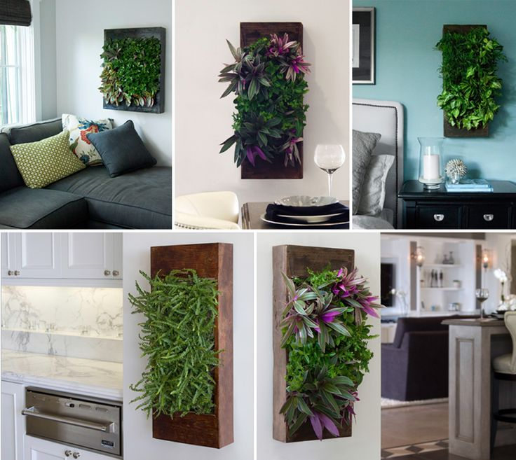 24 Best Indoor Living Wall Planters Ideas Images On
