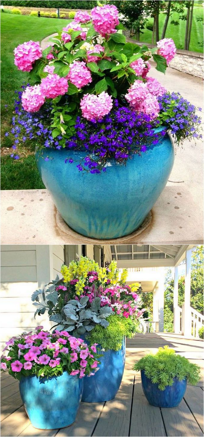 24 Stunning Container Garden Planting Ideas Planting