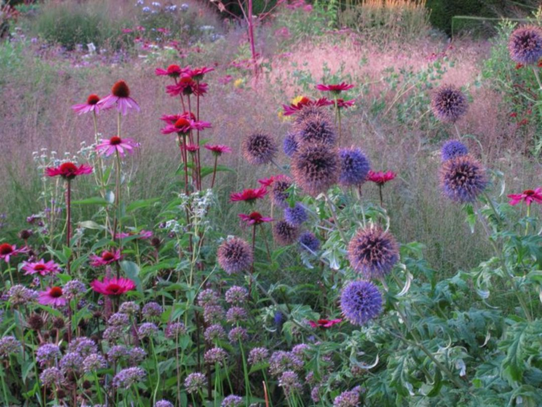 25 Gorgeous Piet Oudolf Garden Summer Ideas For