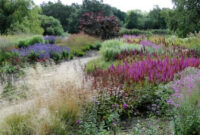25 Gorgeous Piet Oudolf Garden Summer Ideas For