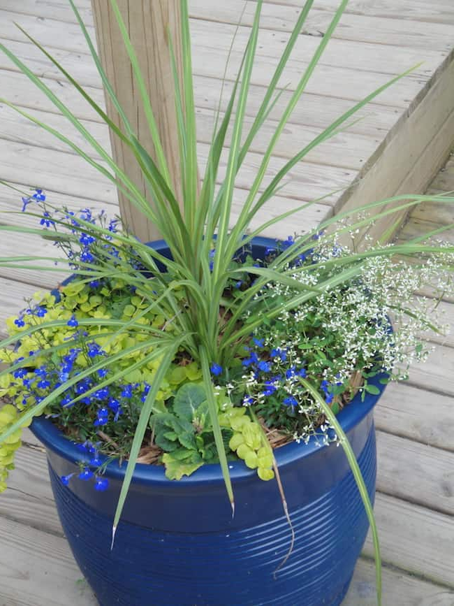 25 Small Herb Garden Design Ideas That Looks Amazing