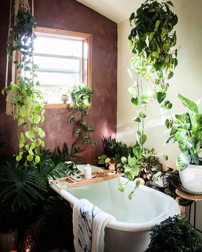 30 Best Indoor Jungle Ideas That Are Calm And Peaceful