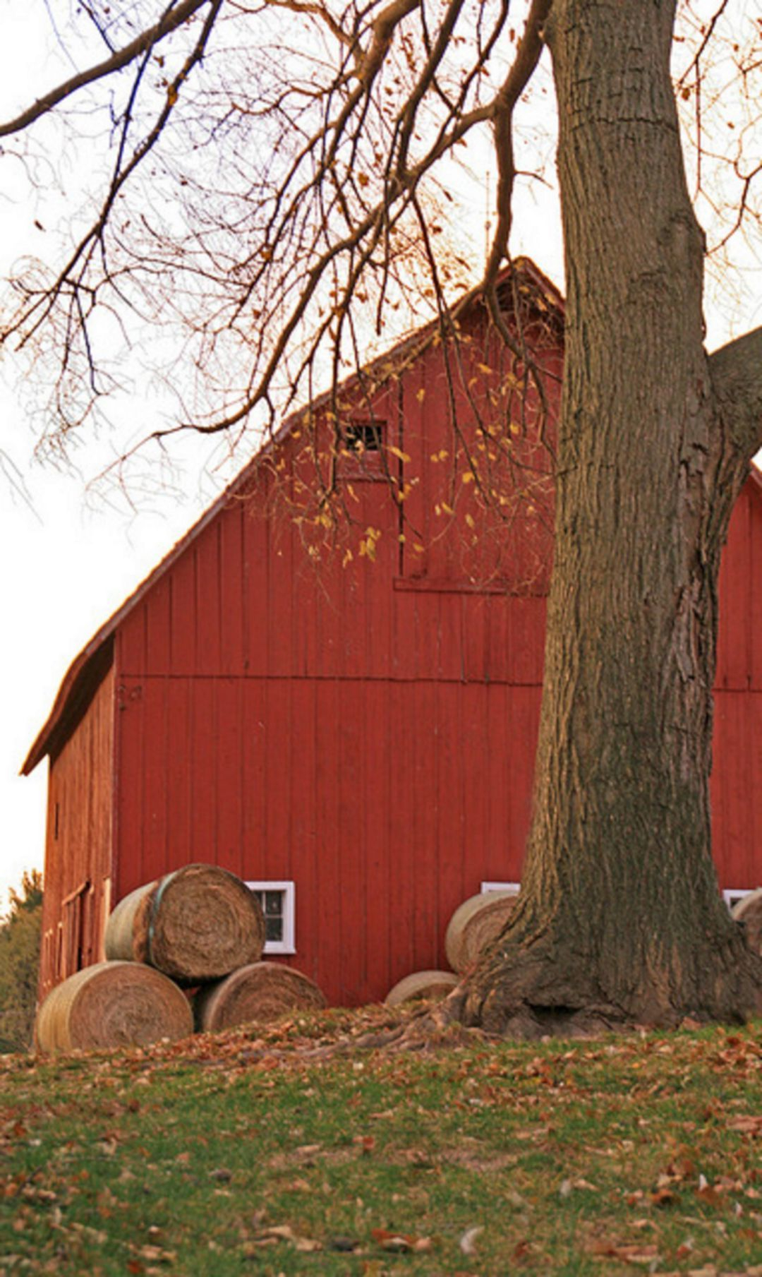 30 Fantastic Red Barn Building Ideas For Inspire You With