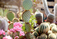 34 Sharp Cactus Garden Ideas Garden Inspiration Amazing