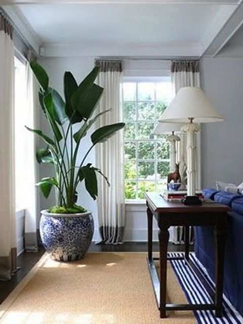 35 Chic Ways To Rock Plants In Your Interiors Digsdigs