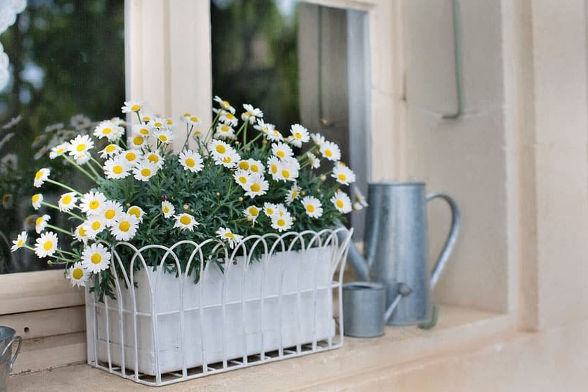 37 Gorgeous Window Flower Boxes With Pictures