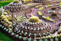 40 Pretty Cactus Garden Ideas For Best Garden