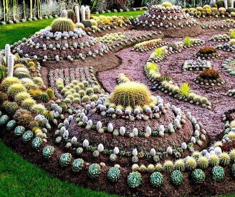 40 Pretty Cactus Garden Ideas For Best Garden