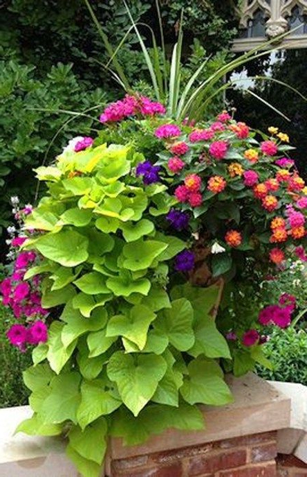 45 Amazing Summer Planter Ideas To Beautify Your Home