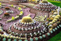47 Beautiful Cactus Garden Ideas For Best Garden