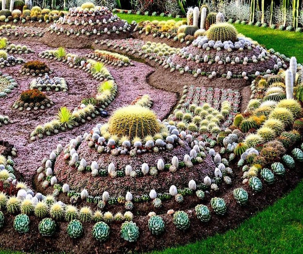 47 Beautiful Cactus Garden Ideas For Best Garden