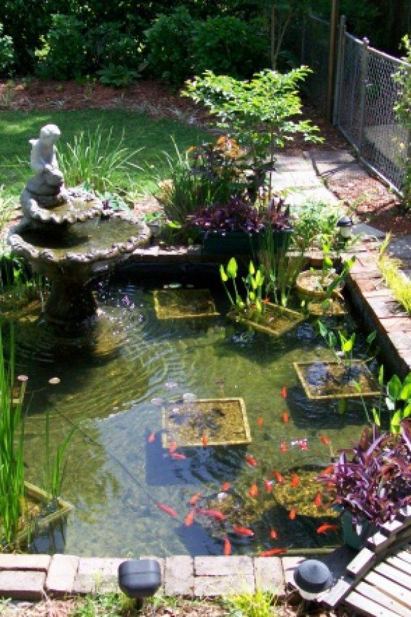 50 Awesome Koi Pond Projects You Can Create To Complete