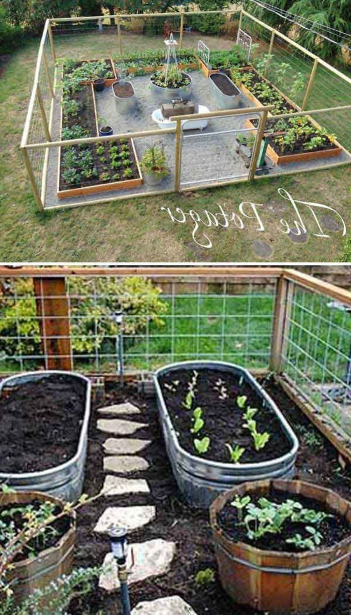62 Affordable Backyard Vegetable Garden Designs Ideas