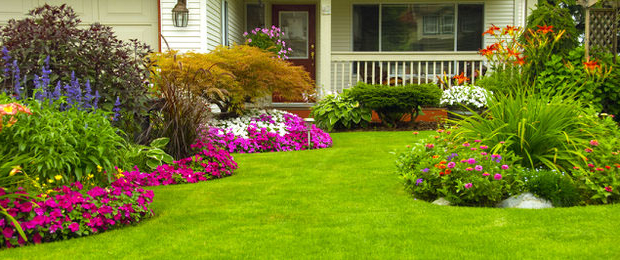 7 Easy Ideas To Create A Beautifully Landscaped Yard The