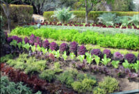 7 Edible Landscape Design Ideas To Make The Most Out Of
