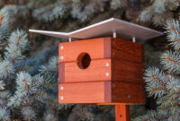 7 Unique Bird Houses You Wish You Could Move Into
