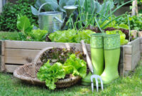 8 Spring Gardening Trends Spotted On Pinterest Garden Club