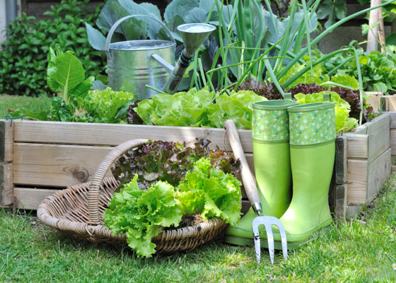 8 Spring Gardening Trends Spotted On Pinterest Garden Club