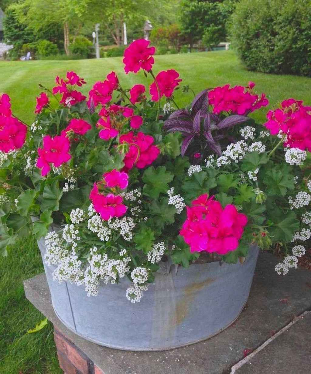85 Beautiful Summer Container Garden Flowers Ideas