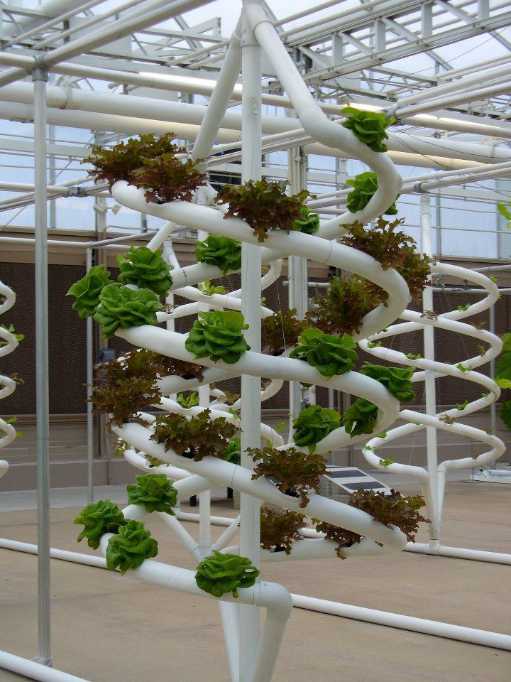 93 Best Hydroponic Systems Images On Pinterest