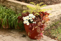 A Gallery Of Beautiful Container Garden Ideas Better