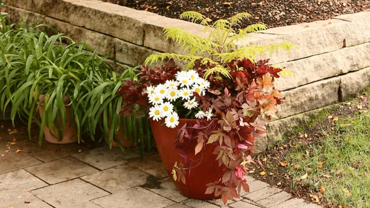 A Gallery Of Beautiful Container Garden Ideas Better