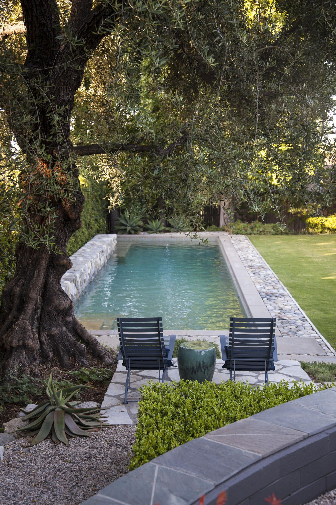 A Pasadena Garden Mixes Fresh And Modern Design With A
