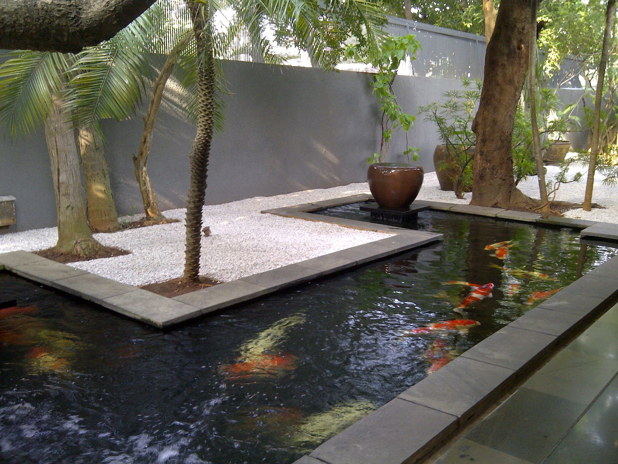 A Sleek Modern Koi Pond Garden Pond Design Indoor Pond