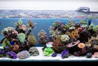 Aqua Design Amano 120 P Overflow Model Open Top Reef