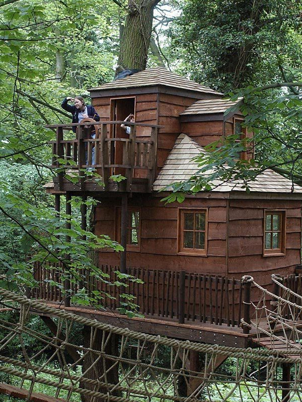 Awesome Tree House Treehouse Pinned Wwwmodlar