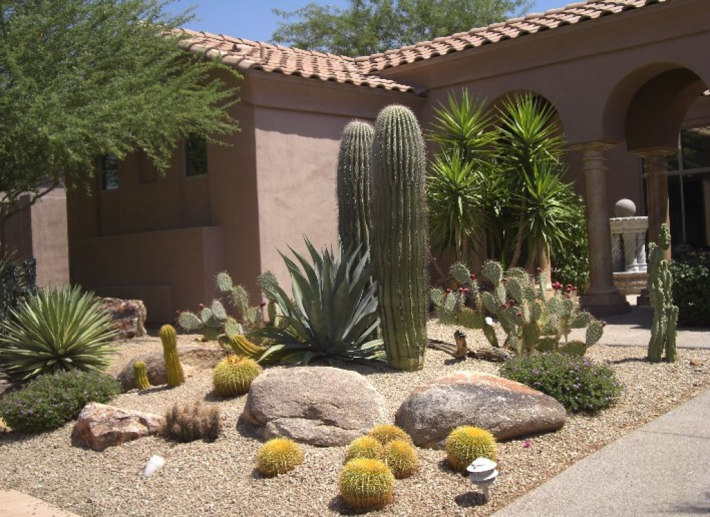 Beautiful Contemporary Desert Landscaping Idea With