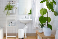 Best Plants For Bathrooms 20 Indoor Plants For The Bathroom