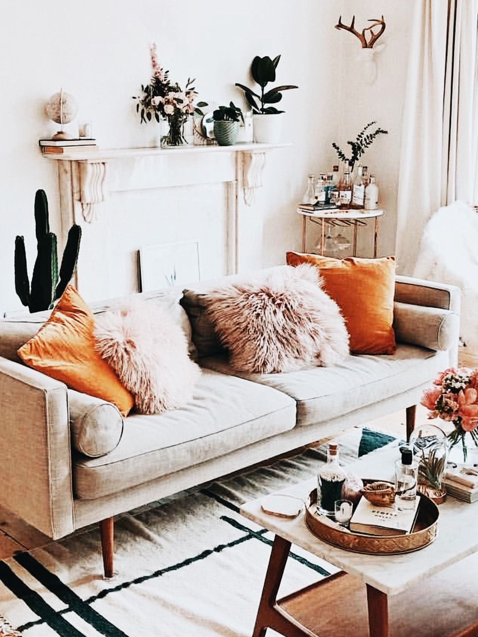 Boho Living Room With Cactus Orange And Blush Throw