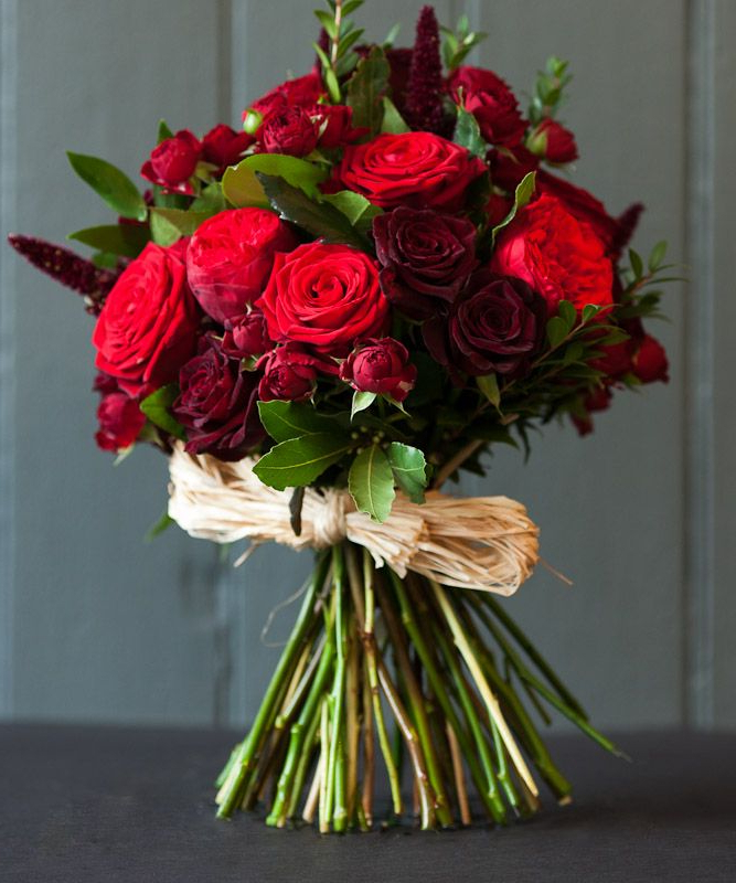Bouquet Of Red Roses Dark Baccara Roses Tied With Raffia