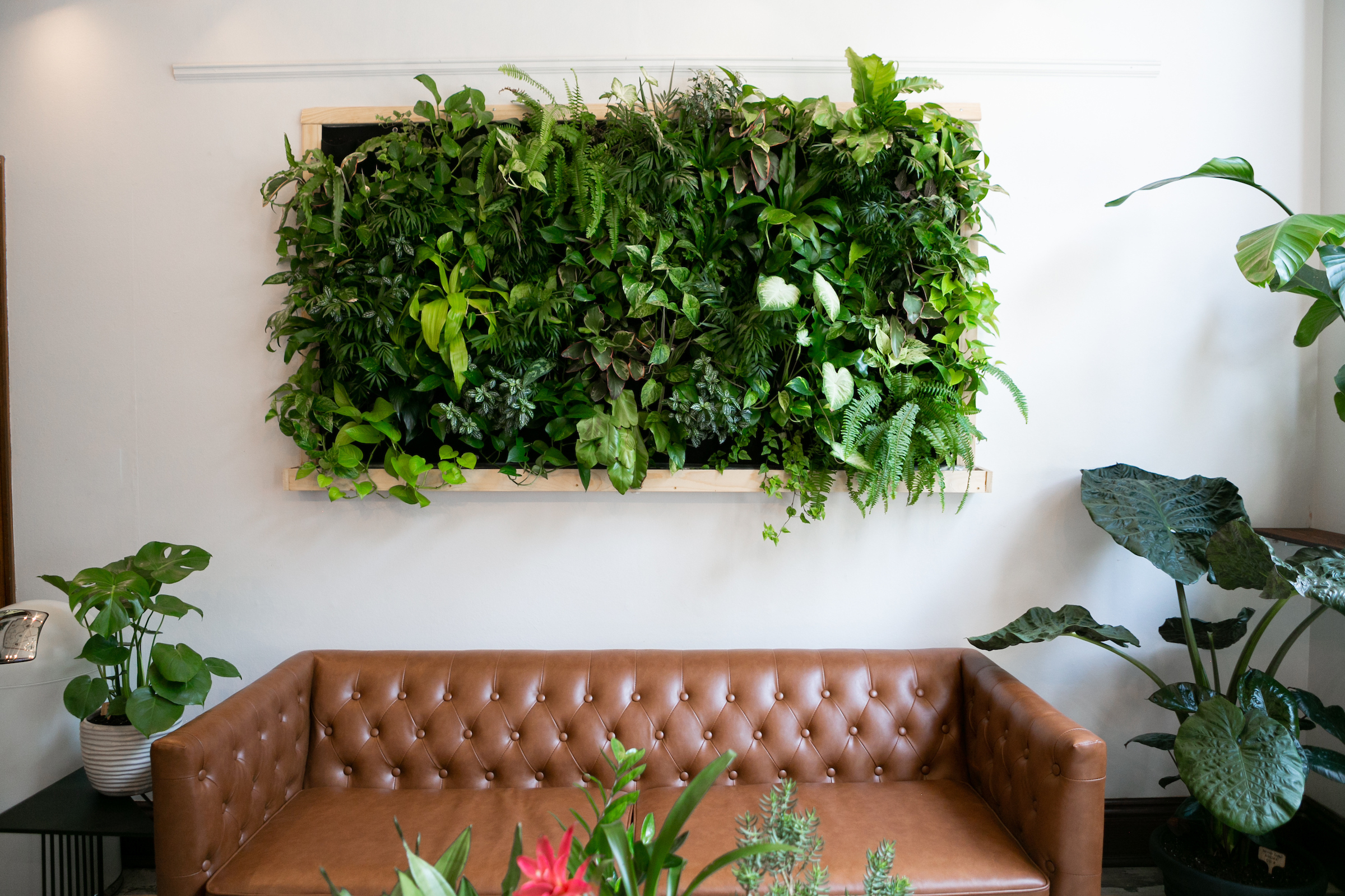 Breathtaking Living Wall Designs For Creating Your Own