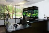 Brilliant Home Office Aquarium So Natural With Relaxing