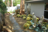 Cacti Garden Xeriscape Succulent Landscape Design