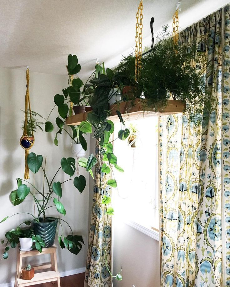 Clever Ways To Hang Your Plants Vertical Garden Design
