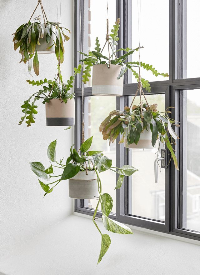 Create Coziness With Hbsch Aw2015 Houseofc Hanging